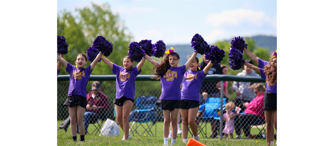 Cheer is offered in the spring and fall seasons